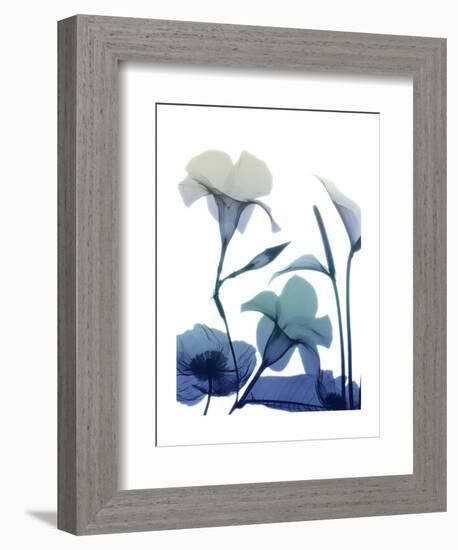 Morning Bloom 1-Albert Koetsier-Framed Art Print