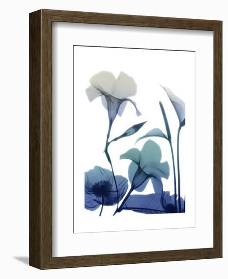 Morning Bloom 1-Albert Koetsier-Framed Art Print