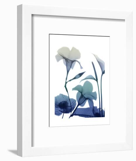 Morning Bloom 1-Albert Koetsier-Framed Art Print