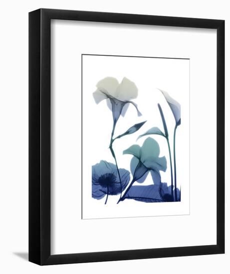 Morning Bloom 1-Albert Koetsier-Framed Art Print