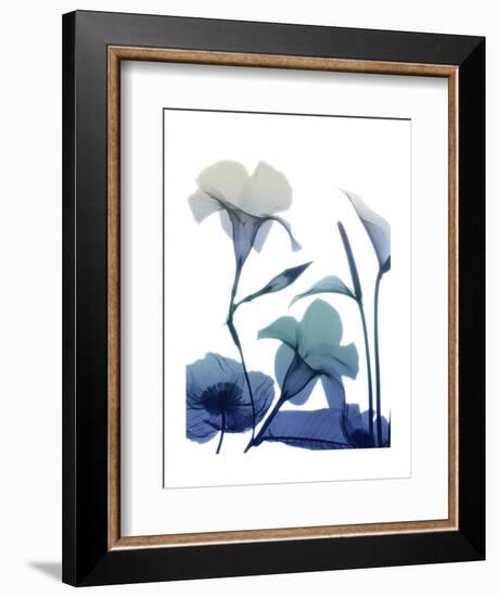 Morning Bloom 1-Albert Koetsier-Framed Art Print