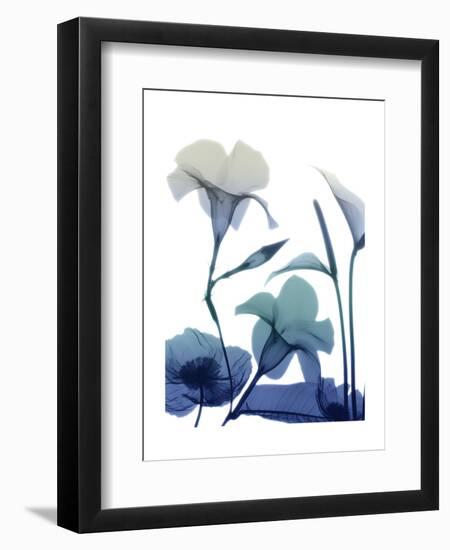 Morning Bloom 1-Albert Koetsier-Framed Art Print