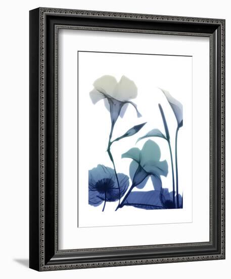 Morning Bloom 1-Albert Koetsier-Framed Art Print