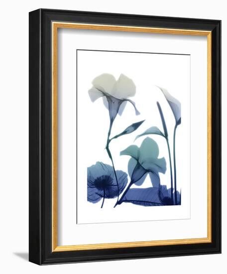 Morning Bloom 1-Albert Koetsier-Framed Art Print