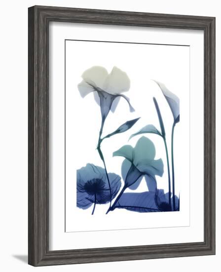 Morning Bloom 1-Albert Koetsier-Framed Art Print