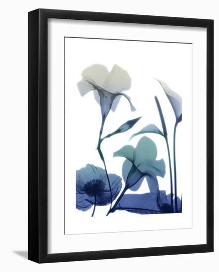 Morning Bloom 1-Albert Koetsier-Framed Art Print