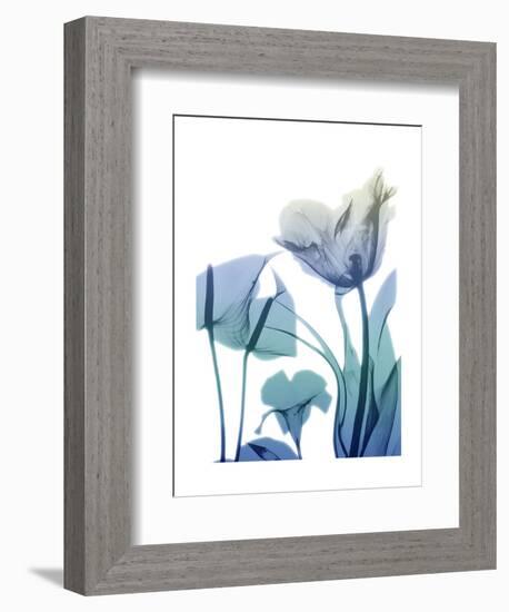 Morning Bloom 2-Albert Koetsier-Framed Art Print