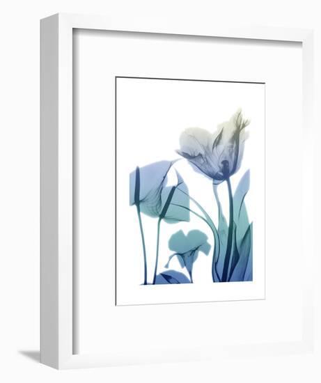 Morning Bloom 2-Albert Koetsier-Framed Art Print