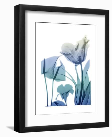 Morning Bloom 2-Albert Koetsier-Framed Art Print