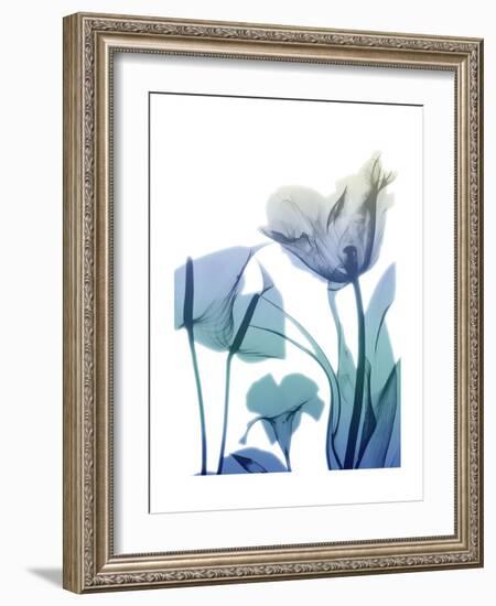 Morning Bloom 2-Albert Koetsier-Framed Premium Giclee Print