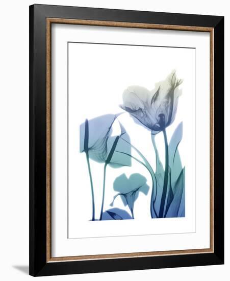 Morning Bloom 2-Albert Koetsier-Framed Premium Giclee Print