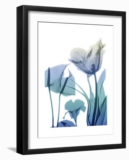 Morning Bloom 2-Albert Koetsier-Framed Premium Giclee Print