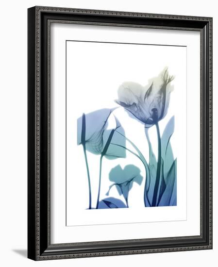 Morning Bloom 2-Albert Koetsier-Framed Premium Giclee Print