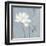 Morning Bloom II-Carol Robinson-Framed Art Print