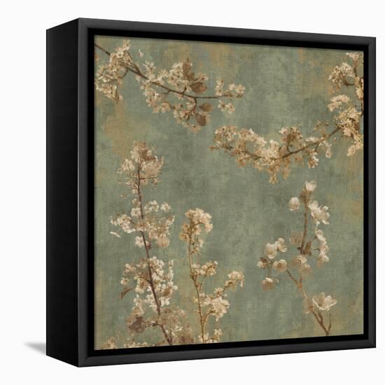 Morning Blossom I-John Seba-Framed Stretched Canvas