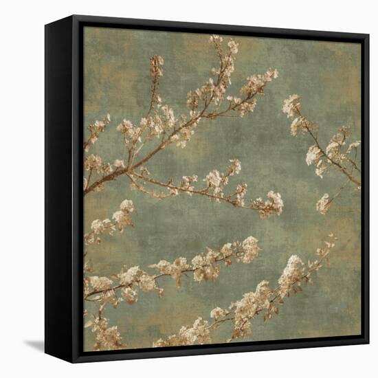 Morning Blossom II-John Seba-Framed Stretched Canvas