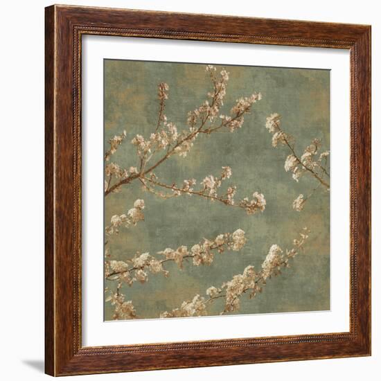 Morning Blossom II-John Seba-Framed Art Print