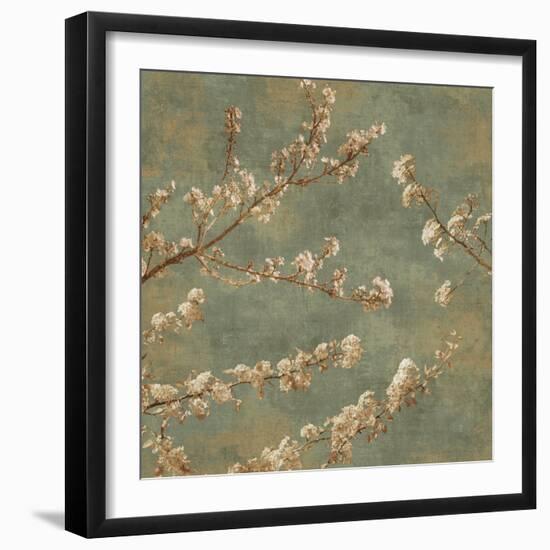 Morning Blossom II-John Seba-Framed Art Print