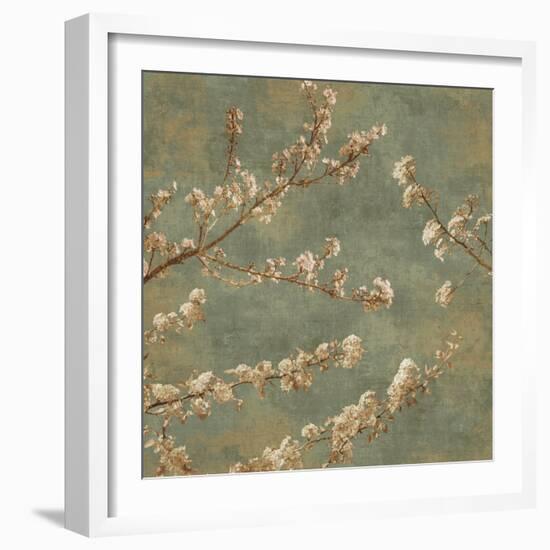 Morning Blossom II-John Seba-Framed Art Print