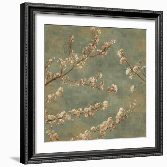 Morning Blossom II-John Seba-Framed Art Print
