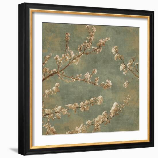 Morning Blossom II-John Seba-Framed Art Print