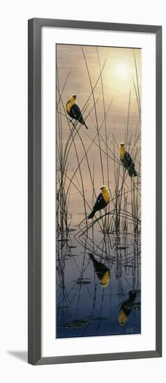 Morning Call - Yellow Headed Blackbirds-Jeff Tift-Framed Giclee Print