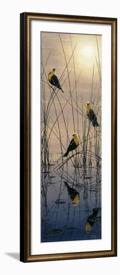 Morning Call - Yellow Headed Blackbirds-Jeff Tift-Framed Giclee Print