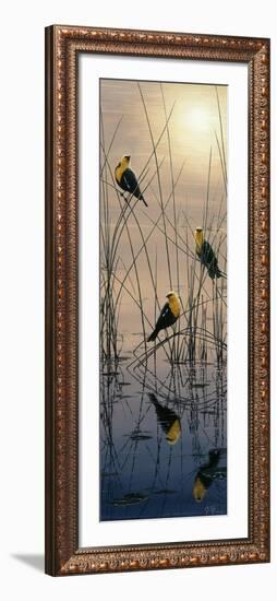 Morning Call - Yellow Headed Blackbirds-Jeff Tift-Framed Giclee Print