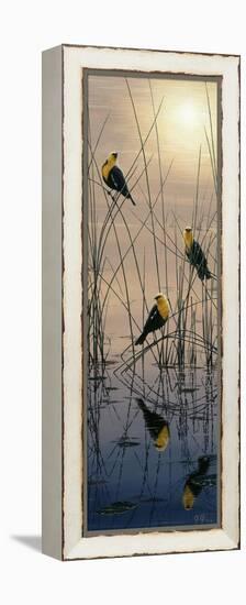 Morning Call - Yellow Headed Blackbirds-Jeff Tift-Framed Premier Image Canvas