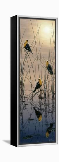 Morning Call - Yellow Headed Blackbirds-Jeff Tift-Framed Premier Image Canvas