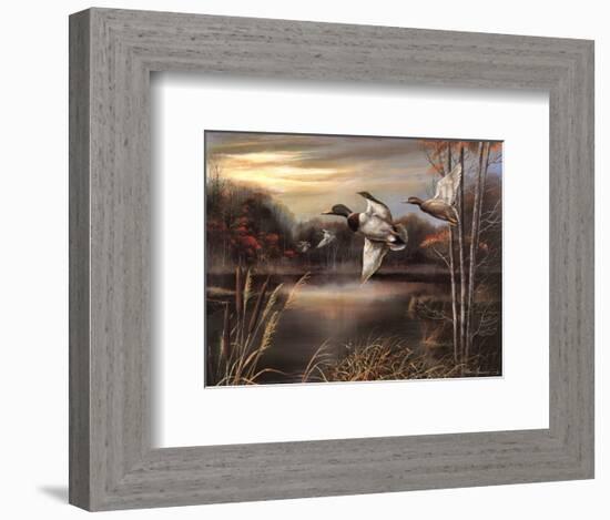 Morning Call-Ruane Manning-Framed Art Print