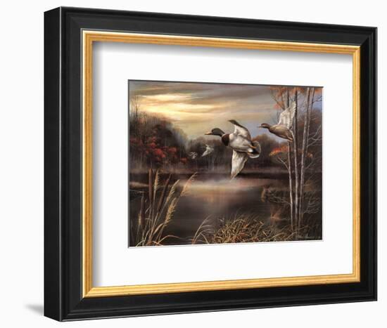 Morning Call-Ruane Manning-Framed Art Print