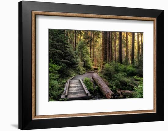 Morning Calls-Danny Head-Framed Photographic Print