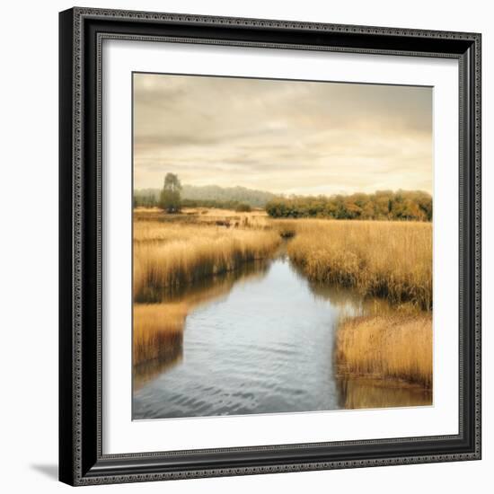 Morning Calm I-John Seba-Framed Art Print