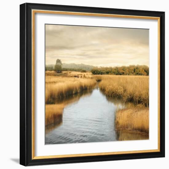 Morning Calm I-John Seba-Framed Art Print