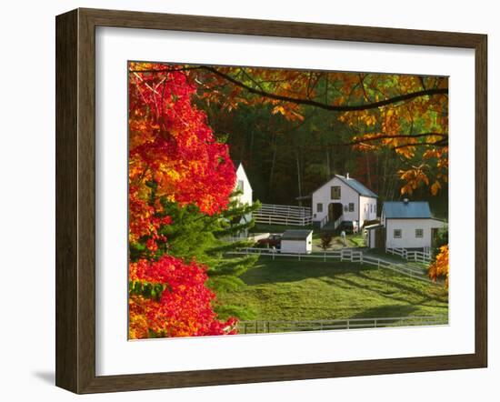 Morning Chores at the Imagination Morgan Horse Farm, Bethel, Vermont, USA-Charles Sleicher-Framed Photographic Print