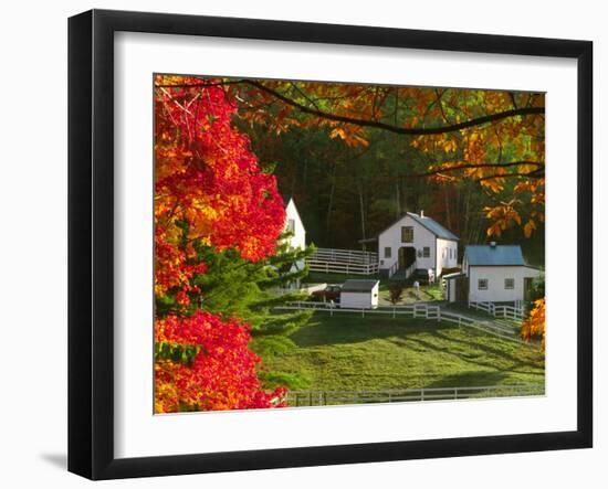 Morning Chores at the Imagination Morgan Horse Farm, Bethel, Vermont, USA-Charles Sleicher-Framed Photographic Print