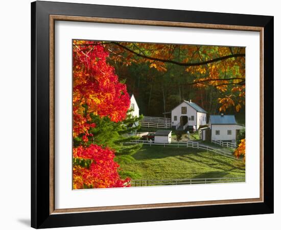 Morning Chores at the Imagination Morgan Horse Farm, Bethel, Vermont, USA-Charles Sleicher-Framed Photographic Print