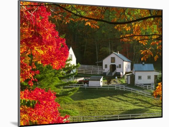 Morning Chores at the Imagination Morgan Horse Farm, Bethel, Vermont, USA-Charles Sleicher-Mounted Photographic Print