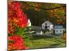 Morning Chores at the Imagination Morgan Horse Farm, Bethel, Vermont, USA-Charles Sleicher-Mounted Photographic Print