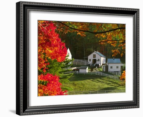 Morning Chores at the Imagination Morgan Horse Farm, Bethel, Vermont, USA-Charles Sleicher-Framed Photographic Print