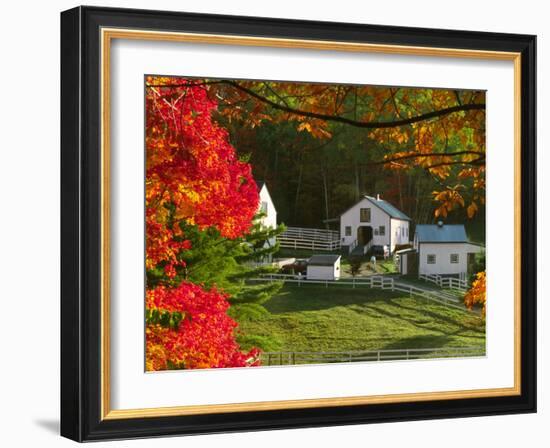 Morning Chores at the Imagination Morgan Horse Farm, Bethel, Vermont, USA-Charles Sleicher-Framed Photographic Print