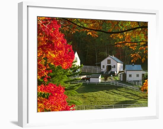 Morning Chores at the Imagination Morgan Horse Farm, Bethel, Vermont, USA-Charles Sleicher-Framed Photographic Print