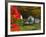 Morning Chores at the Imagination Morgan Horse Farm, Bethel, Vermont, USA-Charles Sleicher-Framed Photographic Print