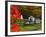 Morning Chores at the Imagination Morgan Horse Farm, Bethel, Vermont, USA-Charles Sleicher-Framed Photographic Print