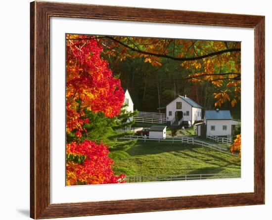 Morning Chores at the Imagination Morgan Horse Farm, Bethel, Vermont, USA-Charles Sleicher-Framed Photographic Print