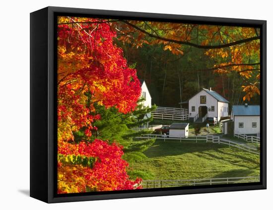 Morning Chores at the Imagination Morgan Horse Farm, Vermont, USA-Charles Sleicher-Framed Premier Image Canvas