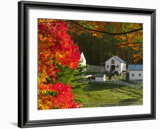 Morning Chores at the Imagination Morgan Horse Farm, Vermont, USA-Charles Sleicher-Framed Photographic Print