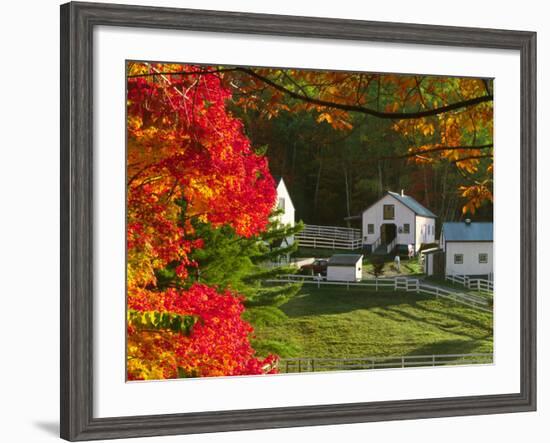 Morning Chores at the Imagination Morgan Horse Farm, Vermont, USA-Charles Sleicher-Framed Photographic Print