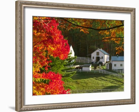 Morning Chores at the Imagination Morgan Horse Farm, Vermont, USA-Charles Sleicher-Framed Photographic Print